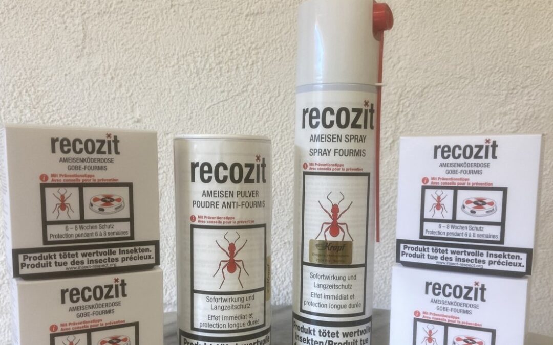 Recozit – Ameisen