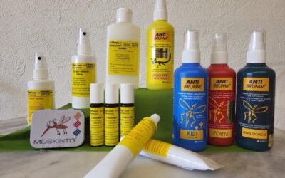 Insektenschutz